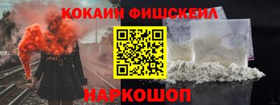 крисы Кингисепп