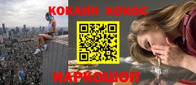 крисы Кингисепп