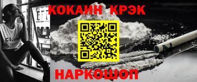 крисы Кингисепп