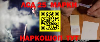 крисы Кингисепп