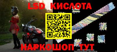 крисы Кингисепп