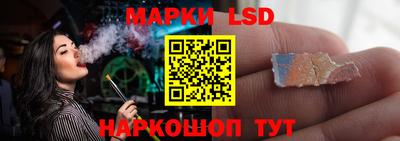 крисы Кингисепп