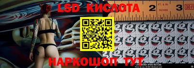 крисы Кингисепп