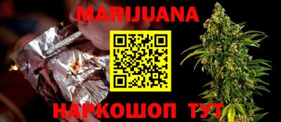 крисы Кингисепп