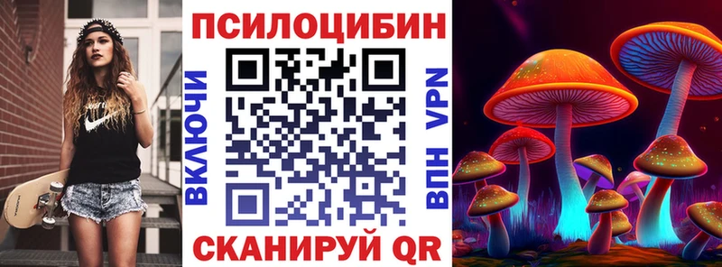 Псилоцибиновые грибы мицелий  Нижнекамск 