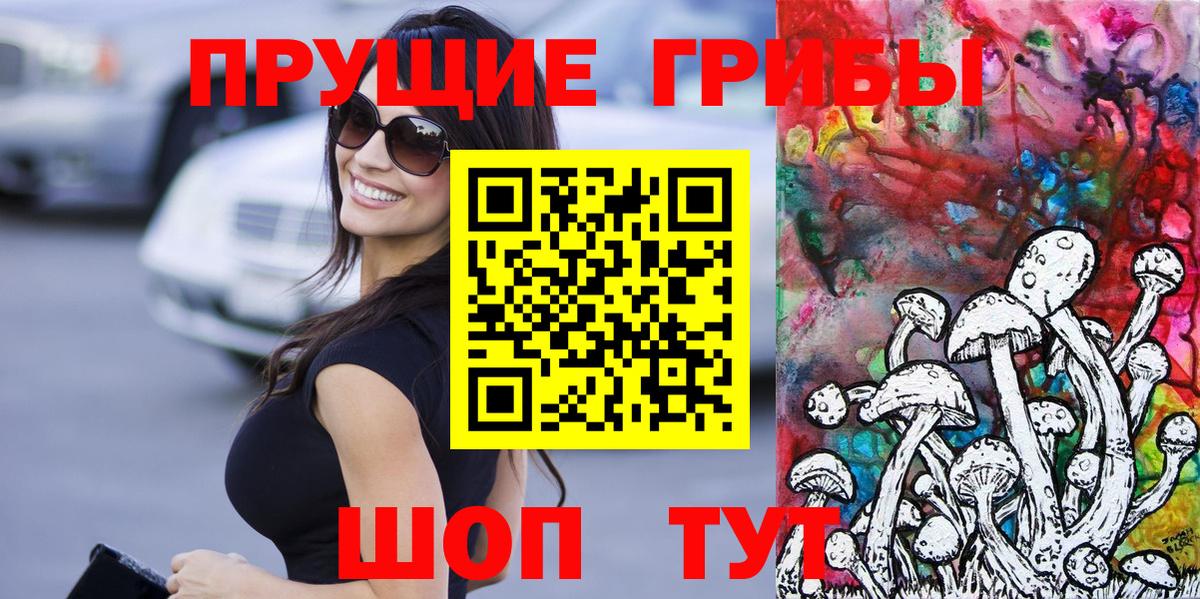 Галлюциногенные грибы Psilocybe Нижнекамск