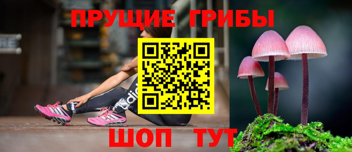 Галлюциногенные грибы MAGIC MUSHROOMS  Вход с VPN  Галлюциногенные грибы мицелий  Нижнекамск 